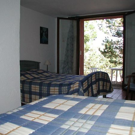 Chambres D'Hote L'Amandiere A Cucugnan Extérieur photo